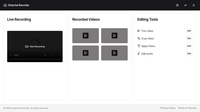 Thumbnail for prompt: make stripchat.com recorder ui using
