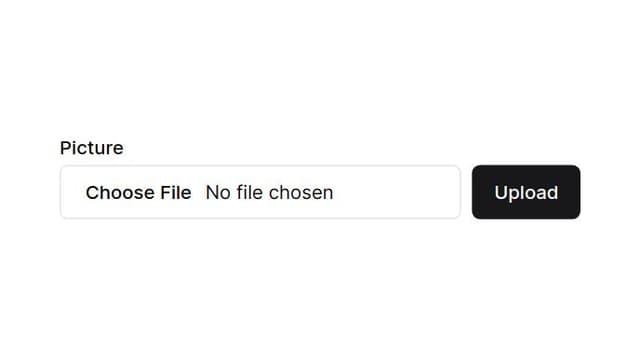 Thumbnail for prompt: Change the choose file text to say upload image