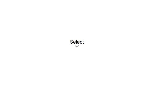 Thumbnail for prompt: add a prefix icon on the select trigger