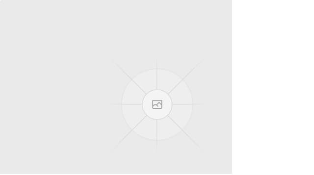 Thumbnail for prompt: image with zoom effect on hover