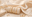 Banner.png