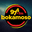 logo.png